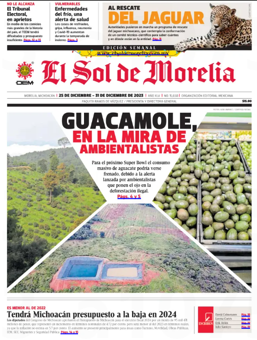 EDICTOS EL SOL DE MORELIA (4)